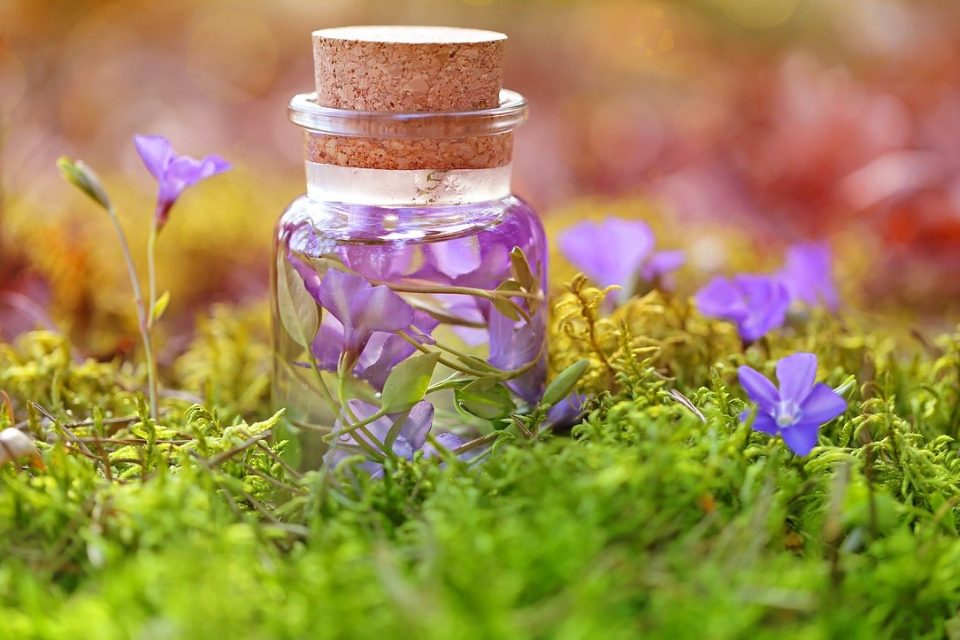 Elixir aux fleurs de Bach